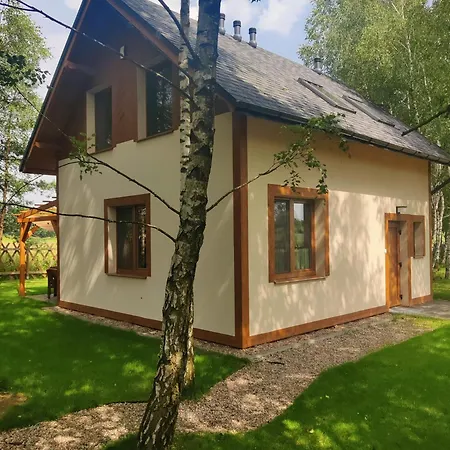 Checz Pod Brzozami Żuromin