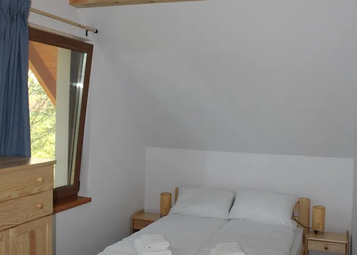 Checz Pod Brzozami *